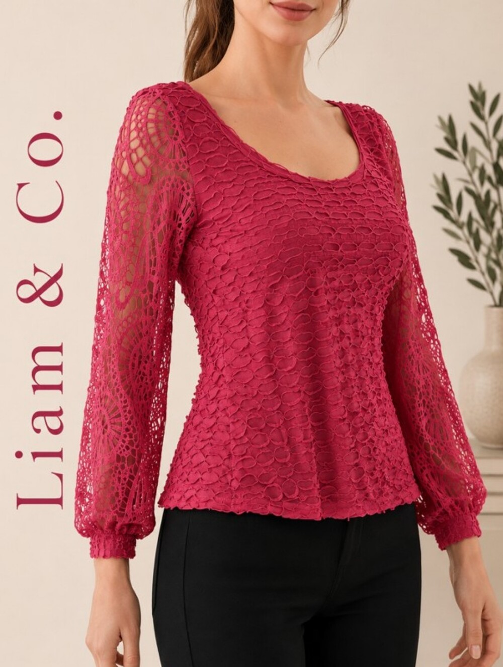 Liam & Co. Feminine Pink Romantic Lace Textured Long Sleeve